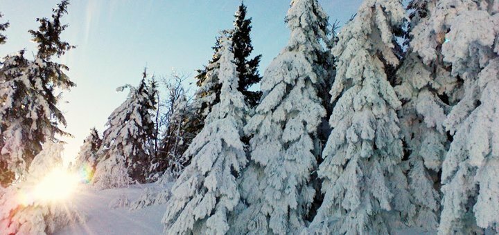 https://cdn1.pokupon.ua/uploaded/new_campaign_pictures/655239/data/main720x340/DSC0083920191106-6502-1z0k5n420191212-10526-vl9rx20191212-6559-h8kvnj.jpg?1576147547