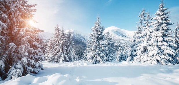 https://cdn1.pokupon.ua/uploaded/new_campaign_pictures/656979/data/main620x292/shutterstock_76364404620191218-9954-1wf0iic.jpg?1576665158