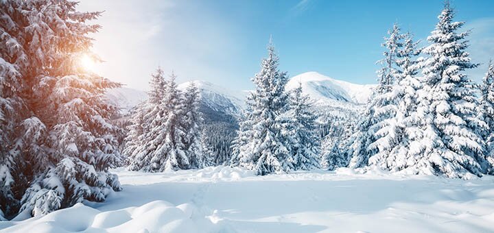 https://cdn1.pokupon.ua/uploaded/new_campaign_pictures/656979/data/main720x340/shutterstock_76364404620191218-9954-1wf0iic.jpg?1576665158
