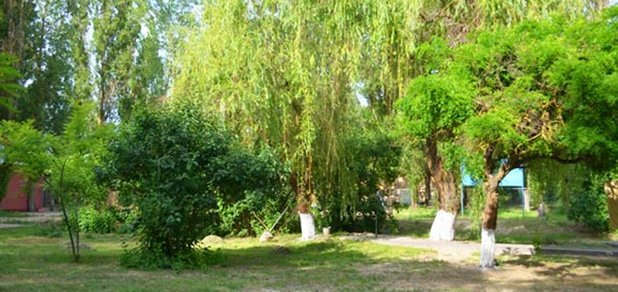 https://cdn1.pokupon.ua/uploaded/new_campaign_pictures/65767/data/main620x292/720-7.jpg?1461766530