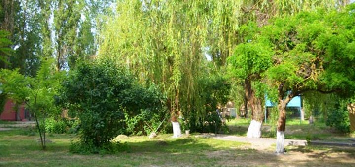 https://cdn1.pokupon.ua/uploaded/new_campaign_pictures/65767/data/main720x340/720-7.jpg?1461766530