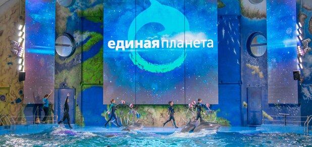 https://cdn1.pokupon.ua/uploaded/new_campaign_pictures/660030/data/main620x292/SKV_651720190117-13046-qkd5yl20191226-5696-14vkf39.jpg?1577360462