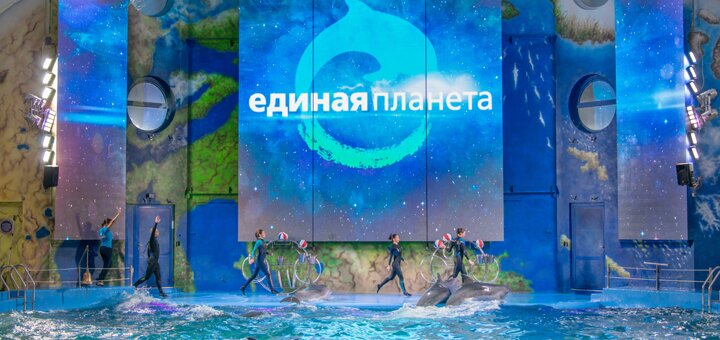 https://cdn1.pokupon.ua/uploaded/new_campaign_pictures/660030/data/main720x340/SKV_651720190117-13046-qkd5yl20191226-5696-14vkf39.jpg?1577360462