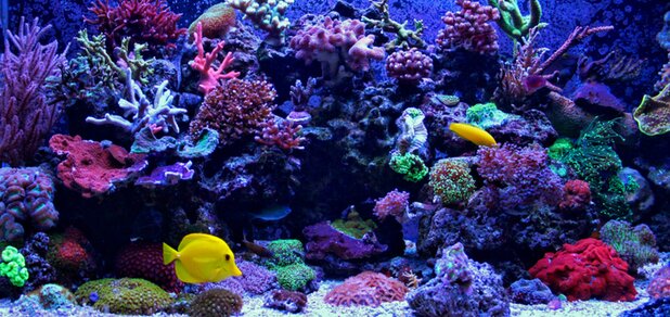 https://cdn1.pokupon.ua/uploaded/new_campaign_pictures/660050/data/main620x292/shutterstock_775396273.jpg?1577441253