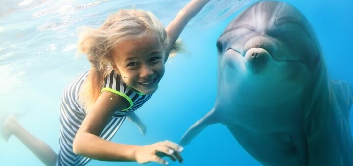 https://cdn1.pokupon.ua/uploaded/new_campaign_pictures/661745/data/main720x340/shutterstock_327964397.jpg?1578485109