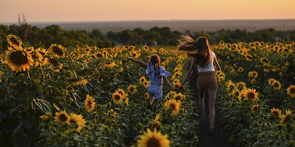 https://cdn1.pokupon.ua/uploaded/new_campaign_pictures/662767/data/main620x292/%D1%82%D0%B8%D0%BC%D1%8D20200111-12328-1bh8orm.jpg?1578752215
