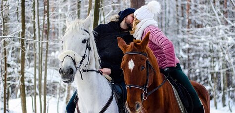 Скидка до 56% на семейную фотосессию с лошадьми 