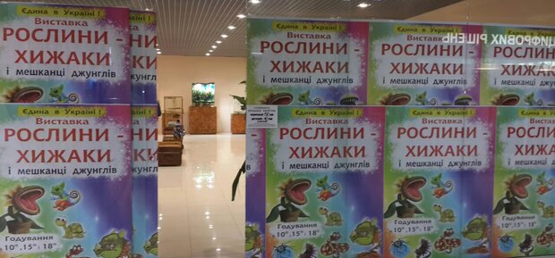 https://cdn1.pokupon.ua/uploaded/new_campaign_pictures/670931/data/main620x292/220200205-13484-12df0hl.jpg?1580888802