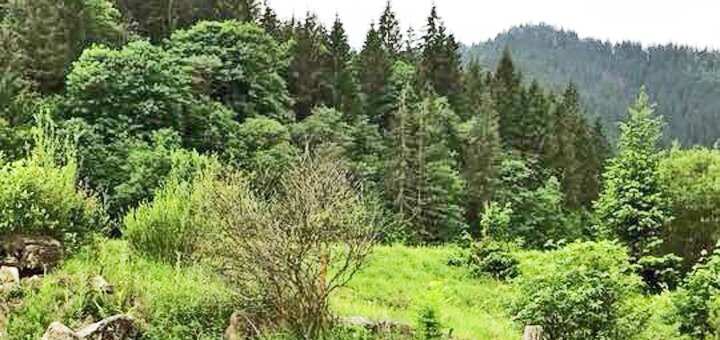 https://cdn1.pokupon.ua/uploaded/new_campaign_pictures/670952/data/main720x340/1.jpg?1580889574