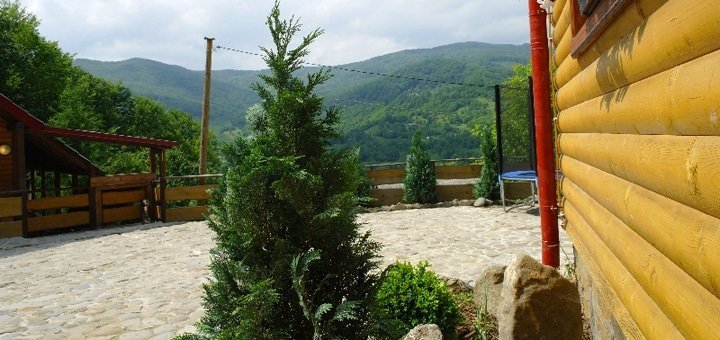 https://cdn1.pokupon.ua/uploaded/new_campaign_pictures/67209/data/main720x340/%D0%B3%D0%BB2.jpg?1462949211