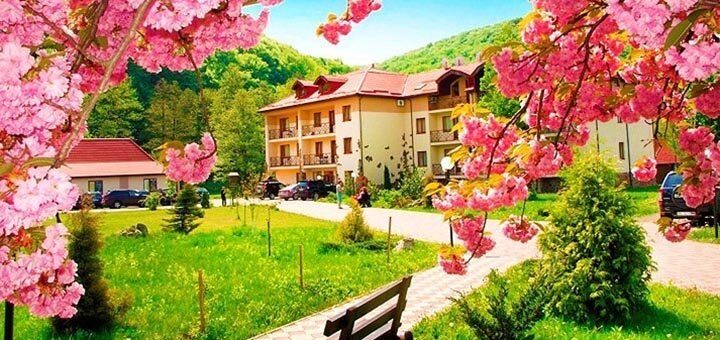 https://cdn1.pokupon.ua/uploaded/new_campaign_pictures/675185/data/main720x340/ocmociegbnbkdjbk.jpg?1581949694