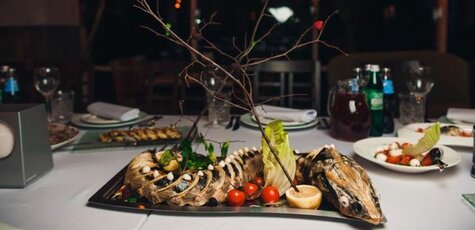 Скидка 50% на меню кухни в «Zebra»