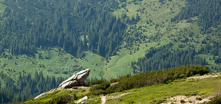 https://cdn1.pokupon.ua/uploaded/new_campaign_pictures/676785/data/main720x340/chorna_hora-2.jpg?1582275384