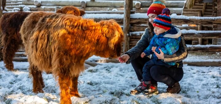 https://cdn1.pokupon.ua/uploaded/new_campaign_pictures/677698/data/main720x340/_87B9165.jpg?1582623103