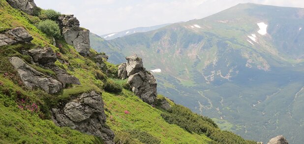 https://cdn1.pokupon.ua/uploaded/new_campaign_pictures/678370/data/main620x292/1020190404-32705-1t3wehv20200227-27923-iby0at.jpg?1582790607