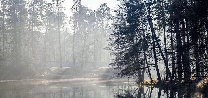 https://cdn1.pokupon.ua/uploaded/new_campaign_pictures/680991/data/main720x340/24297202_407325169687258_2347435925816959117_o.jpg?1583415960