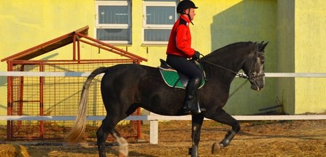 Прогулка на лошадях в клубе «Конный дворик»!