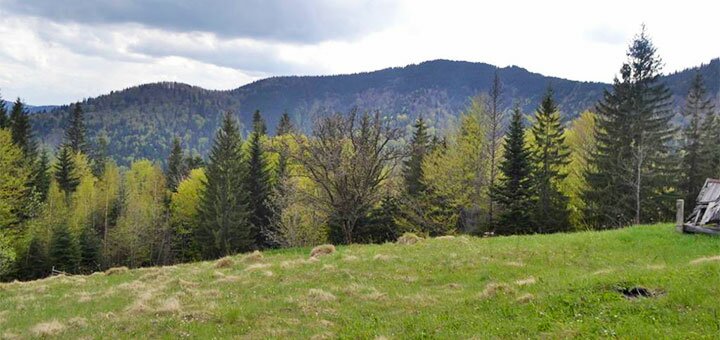 https://cdn1.pokupon.ua/uploaded/new_campaign_pictures/682862/data/main720x340/197896039.jpg?1584095129