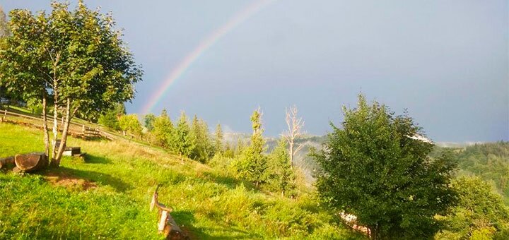 https://cdn1.pokupon.ua/uploaded/new_campaign_pictures/682865/data/main720x340/197586151.jpg?1584095217
