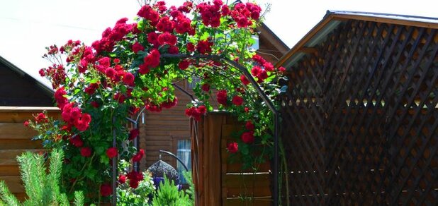 https://cdn1.pokupon.ua/uploaded/new_campaign_pictures/682877/data/main620x292/DSC_7211.jpg?1584095520
