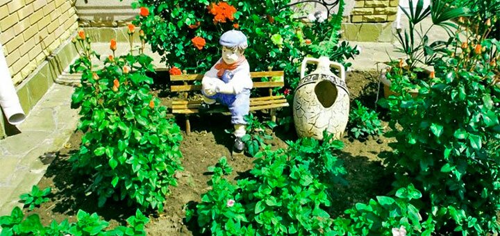 https://cdn1.pokupon.ua/uploaded/new_campaign_pictures/683657/data/main720x340/219_3371_view.jpg?1584365045