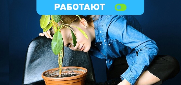 https://cdn1.pokupon.ua/uploaded/new_campaign_pictures/685638/data/main620x292/D%D1%81C_0461.jpg?1590052744
