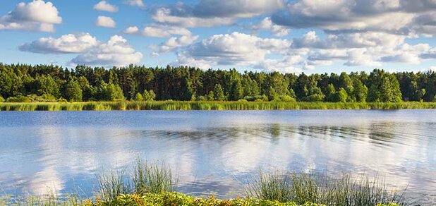 https://cdn1.pokupon.ua/uploaded/new_campaign_pictures/685769/data/main620x292/shutterstock_307619813.jpg?1587022101