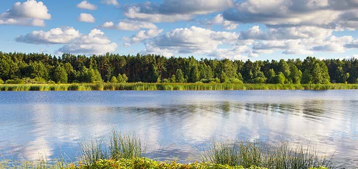 https://cdn1.pokupon.ua/uploaded/new_campaign_pictures/685769/data/main720x340/shutterstock_307619813.jpg?1587022101