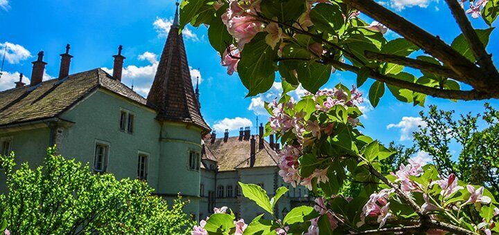 https://cdn1.pokupon.ua/uploaded/new_campaign_pictures/686418/data/main720x340/shutterstock_1324211858.jpg?1587628607