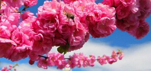 https://cdn1.pokupon.ua/uploaded/new_campaign_pictures/686441/data/main620x292/%D0%B3%D0%BB4.jpg?1587637298