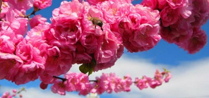 https://cdn1.pokupon.ua/uploaded/new_campaign_pictures/686441/data/main720x340/%D0%B3%D0%BB4.jpg?1587637298