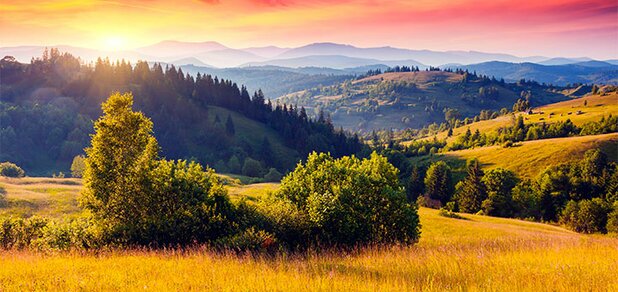 https://cdn1.pokupon.ua/uploaded/new_campaign_pictures/686475/data/main620x292/shutterstock_202460467.jpg?1587642734