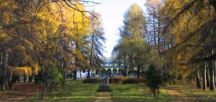 https://cdn1.pokupon.ua/uploaded/new_campaign_pictures/687521/data/main720x340/7822033.jpg?1588233980
