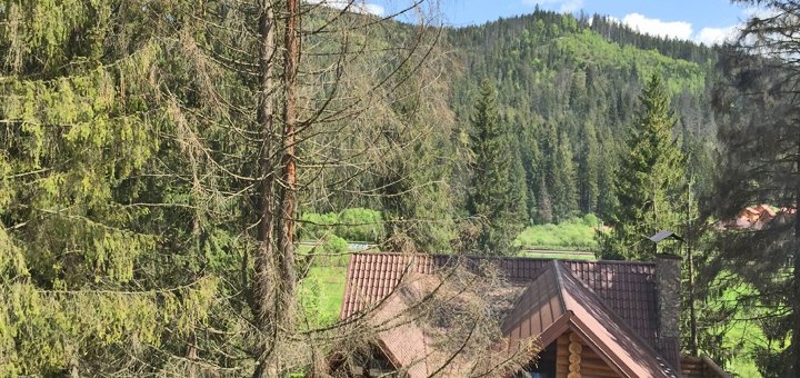 https://cdn1.pokupon.ua/uploaded/new_campaign_pictures/688497/data/main720x340/image8.jpg?1588676881