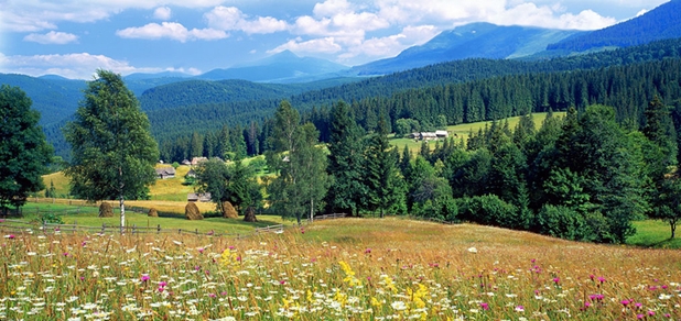 https://cdn1.pokupon.ua/uploaded/new_campaign_pictures/688527/data/main620x292/Sum_pan_552.jpg?1588677648
