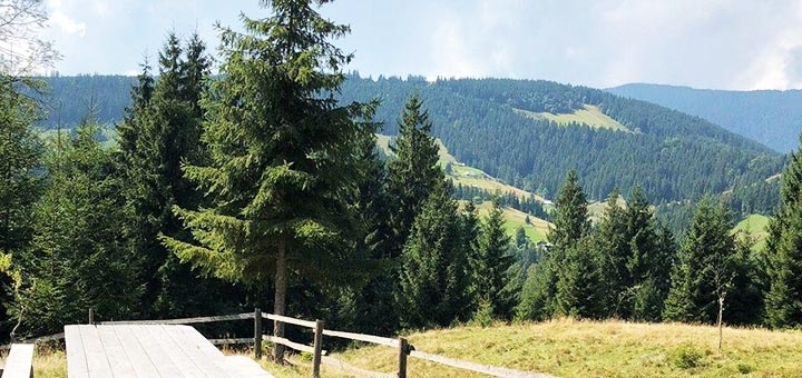 https://cdn1.pokupon.ua/uploaded/new_campaign_pictures/690916/data/main720x340/4.jpg?1589527708