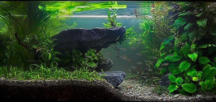 https://cdn1.pokupon.ua/uploaded/new_campaign_pictures/69352/data/main720x340/01.jpg?1464161907