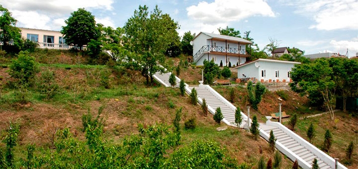 https://cdn1.pokupon.ua/uploaded/new_campaign_pictures/694114/data/main720x340/cottage-2220190606-13078-ocyuje20190606-10002-199liax20200528-20138-1vfpd5h.jpg?1590647055