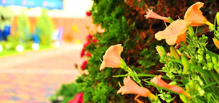 https://cdn1.pokupon.ua/uploaded/new_campaign_pictures/694541/data/main720x340/16.jpg?1590736934