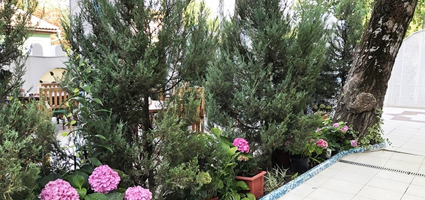 https://cdn1.pokupon.ua/uploaded/new_campaign_pictures/697520/data/main620x292/209775067.jpg?1591860245