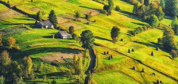 https://cdn1.pokupon.ua/uploaded/new_campaign_pictures/698274/data/main620x292/shutterstock_1260315520.jpg?1591971916