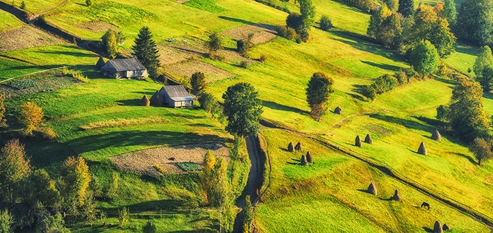 https://cdn1.pokupon.ua/uploaded/new_campaign_pictures/698274/data/main720x340/shutterstock_1260315520.jpg?1591971916