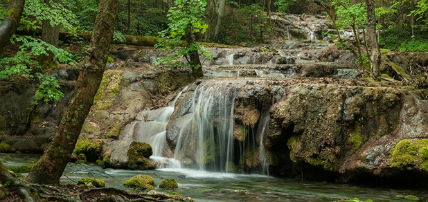 https://cdn1.pokupon.ua/uploaded/new_campaign_pictures/699536/data/main620x292/shutterstock_1756147346.jpg?1592400961