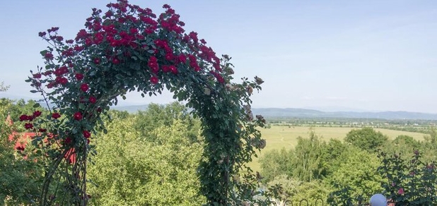 https://cdn1.pokupon.ua/uploaded/new_campaign_pictures/699842/data/main620x292/12.jpg?1592477909