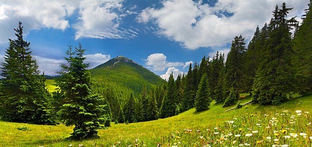 https://cdn1.pokupon.ua/uploaded/new_campaign_pictures/70031/data/main620x292/%D0%B3%D0%BB%D0%B0%D0%B2%D0%BD2.jpg?1464596749