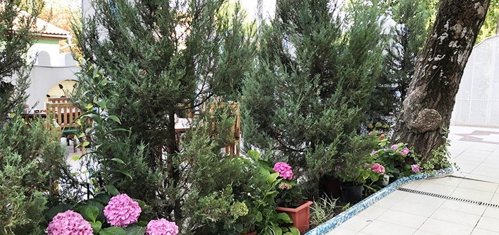 https://cdn1.pokupon.ua/uploaded/new_campaign_pictures/701301/data/main720x340/20977506720200611-28128-1y3zwet20200611-18201-17cast920200623-26307-s7365y.jpg?1592921855
