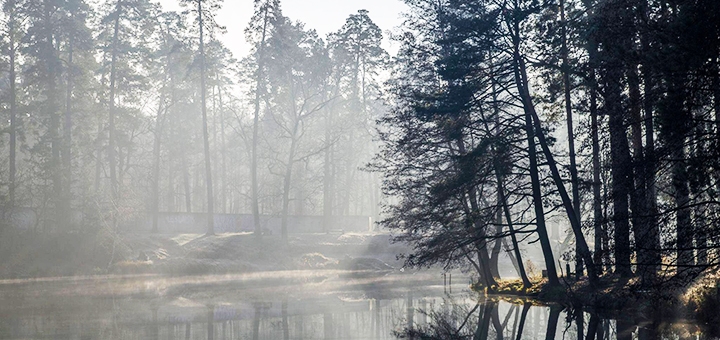 https://cdn1.pokupon.ua/uploaded/new_campaign_pictures/704908/data/main720x340/24297202_407325169687258_2347435925816959117_o20200707-6402-4mcwyy.jpg?1594130539