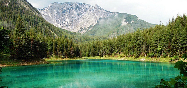 https://cdn1.pokupon.ua/uploaded/new_campaign_pictures/706557/data/main620x292/image.jpg?1594799144