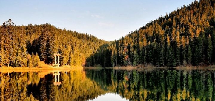 https://cdn1.pokupon.ua/uploaded/new_campaign_pictures/707123/data/main720x340/d0a814933a76a85541049140c45f4379.jpg?1594825174