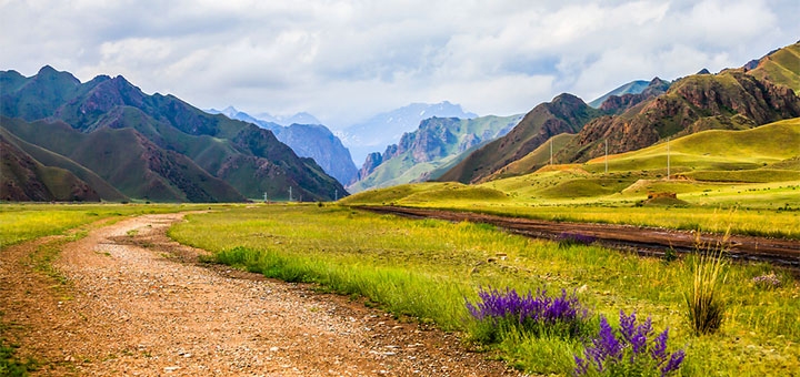 https://cdn1.pokupon.ua/uploaded/new_campaign_pictures/707803/data/main720x340/shutterstock_762715789_%D0%BA%D0%BE%D0%BF%D0%B8%D1%8F.jpg?1594981083